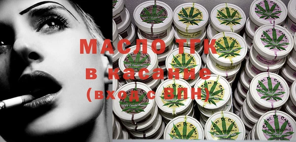 крисы Каменка
