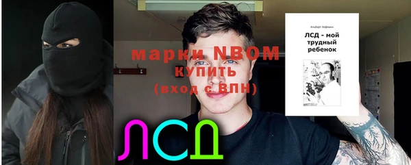крисы Каменка