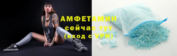 крисы Каменка