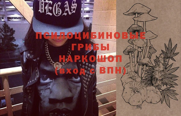 тгк Касимов