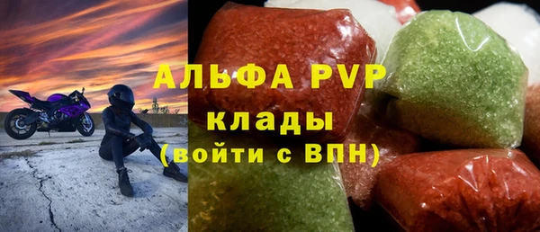 крисы Каменка