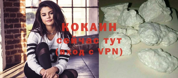 сатива Каменногорск