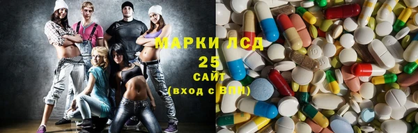 крисы Каменка