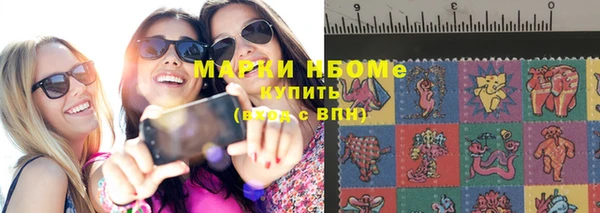сатива Каменногорск