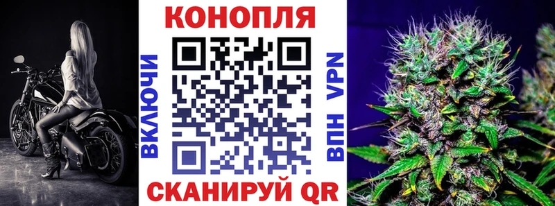 где продают   MEGA ONION  Конопля план  Курчатов 